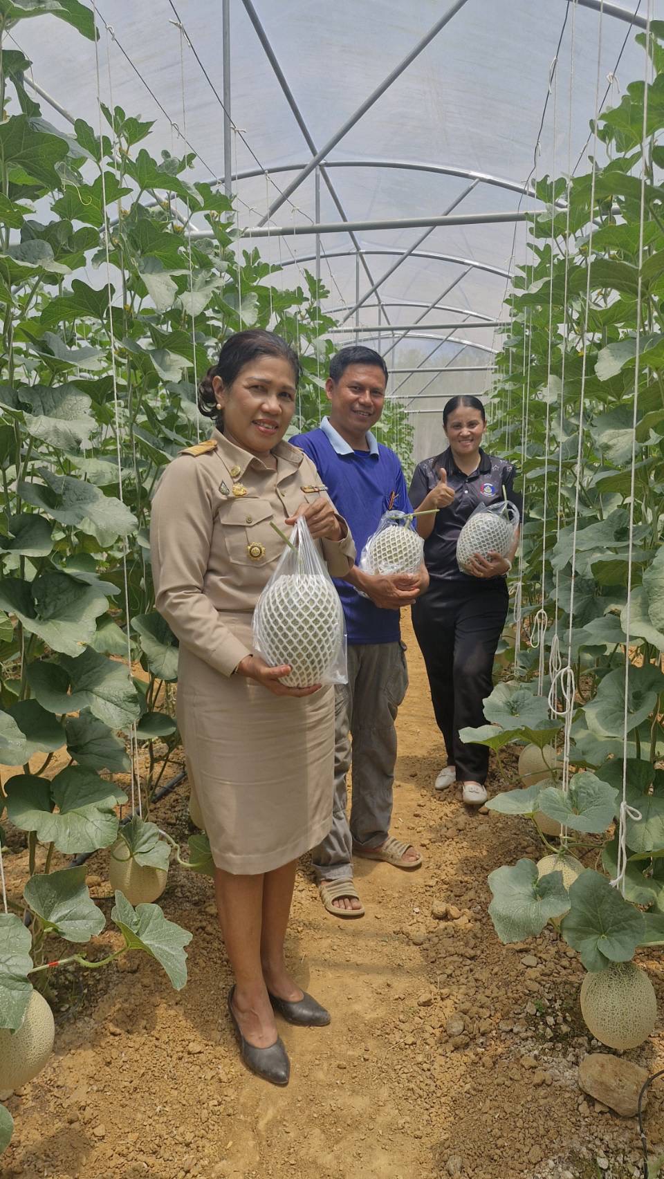พช.กาญจนดิษฐ์ ลงพื้นที่เยี่ยมชม “สวนตาเคี้ยงเมล่อนฟาร์ม” พร้อมประชาสัมพันธ์การลงทะเบียน OTOP